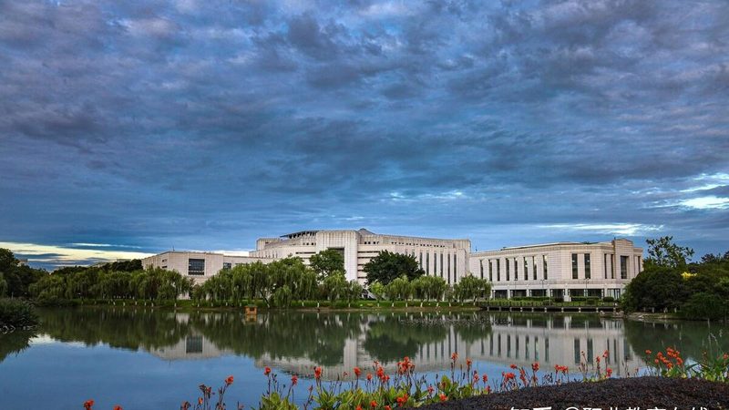 背景：国产元器件替代进口的必要性