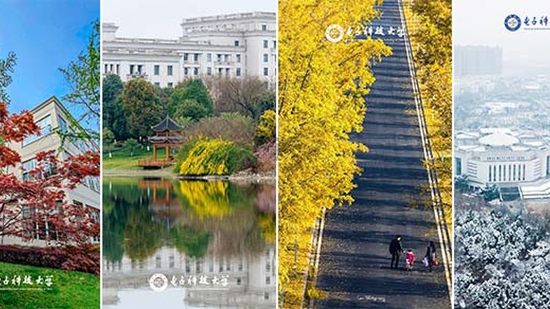 高频电路仿真软件：揭秘其核心功能与选型要点