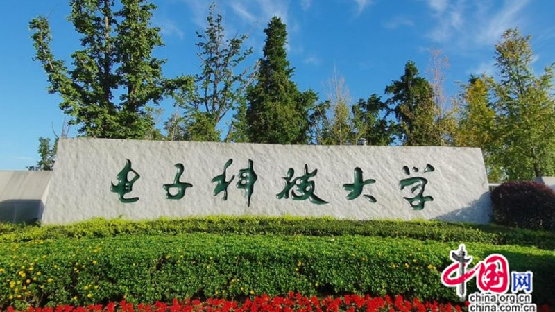 C1815代换管选购指南：如何选择合适的替代品**