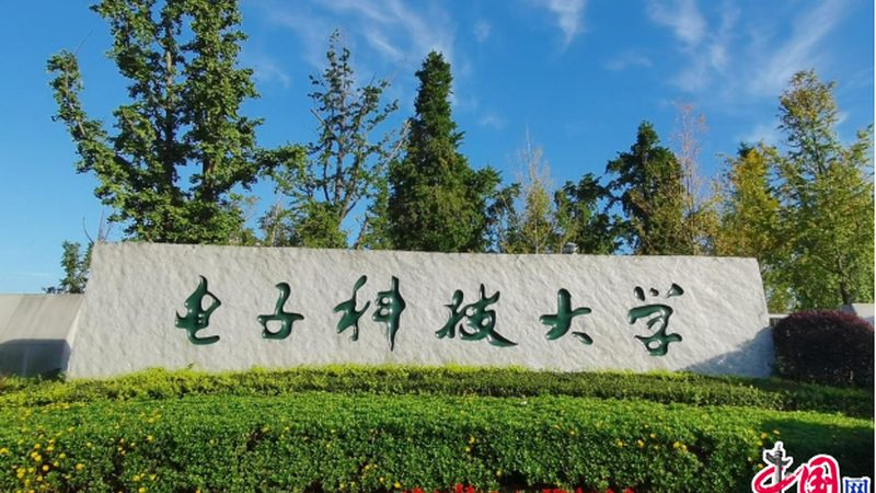 电子加工定制服务：揭秘价格背后的考量因素