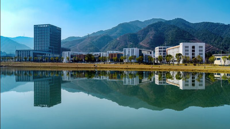 X2和Y1电容：揭秘其在电子电路中的关键角色与差异